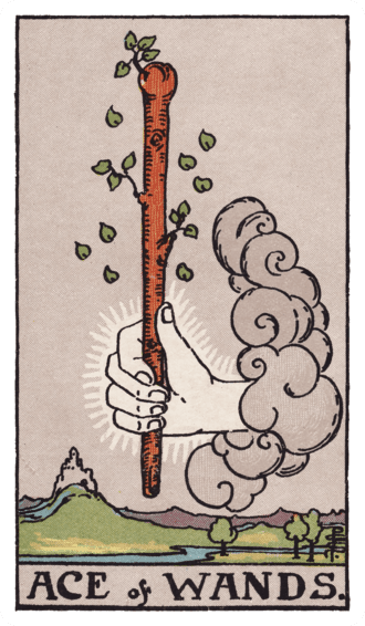 완드 에이스(Ace of Wands) 타로카드 이미지